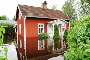 thumbnail for Skydda ditt hus mot skador kopplade till klimatrisker