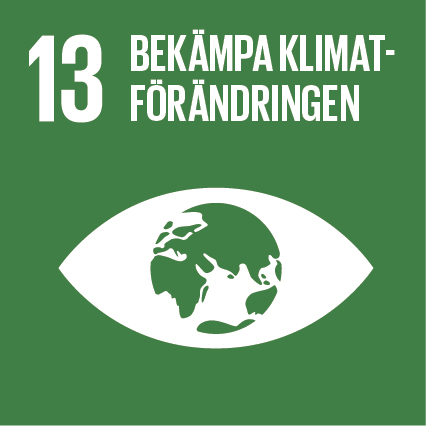 Ikon för FN:s globala mål nr 13