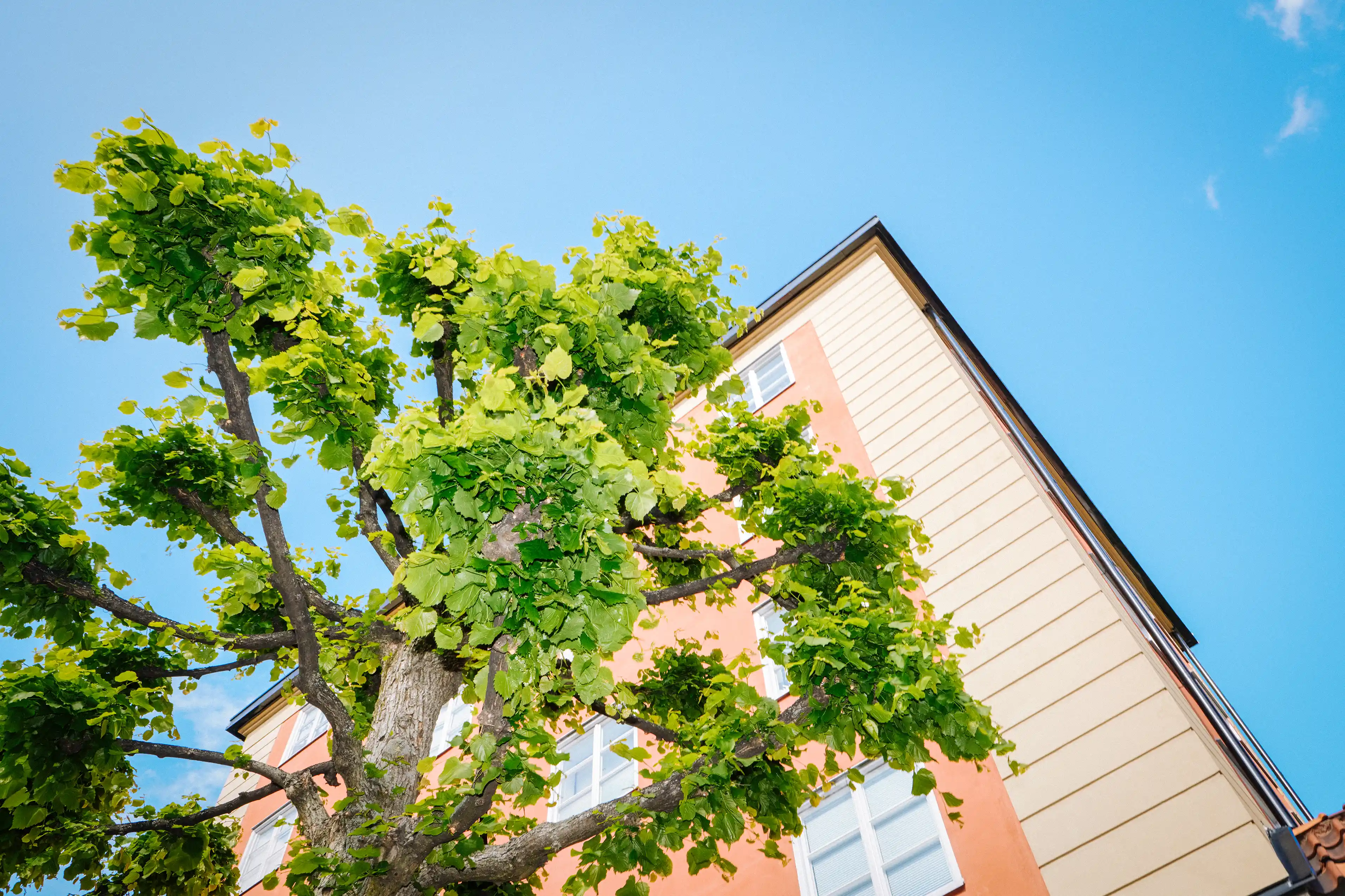 thumbnail for Så kan rörligheten ökas på bostadsmarknaden utan statsfinansiellt kostsamma reformer